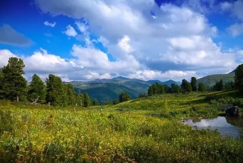 Интеллектуальная программа «Мой край родной — моя история живая»