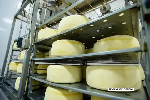 От зерна до мороженого: как Оренбуржье продвигает свою продукцию за рубежом