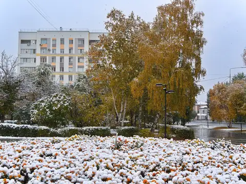 Репетиция зимы.