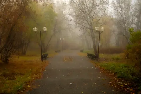 Осенний туман в Зауральной роще