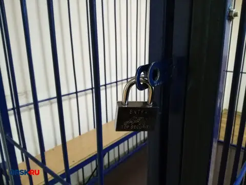Развод с женой довел орчанина до спецприемника