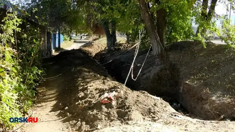 Орчанка вышла на прогулку с ребёнком и поневоле сдала нормативы ГТО