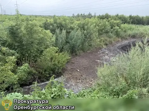 В Бугуруслане мясокомбинат оштрафован на 14 млн рублей за загрязнение почвы