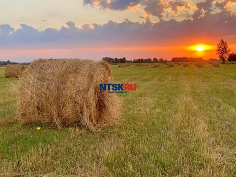 Погода на пятницу, 16 октября