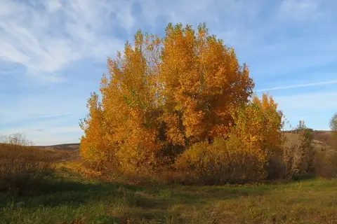 Октябрьские зарисовки
