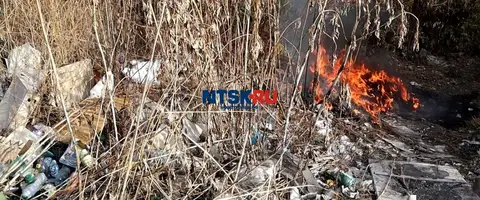 «Новый» способ утилизации мусора на примере контейнерной площадки по ул.Ломоносова