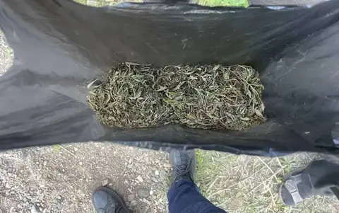 Оренбургские полицейские задержали мужчину с пакетом марихуаны
