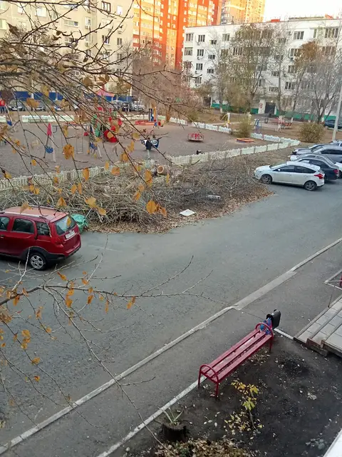 Спилили деревья и уже 7-10дней не убирают