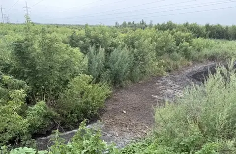Суд взыскал с мясокомбината в Оренбуржье 14 миллионов за загрязнение почвы