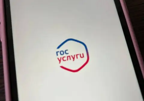В Оренбуржье региональный маткапитал можно получить через «Госуслуги»