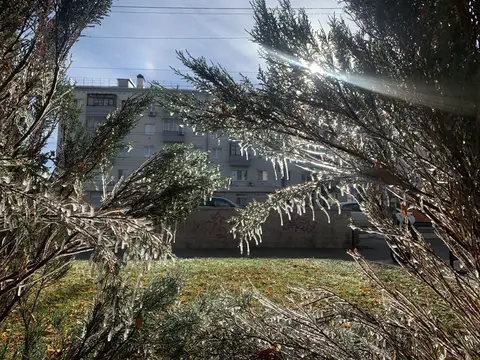 В Оренбург снова пришли ночные заморозки
