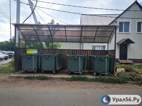 Жителей Оренбурга снова начали штрафовать за складирование веток на мусорных площадках
