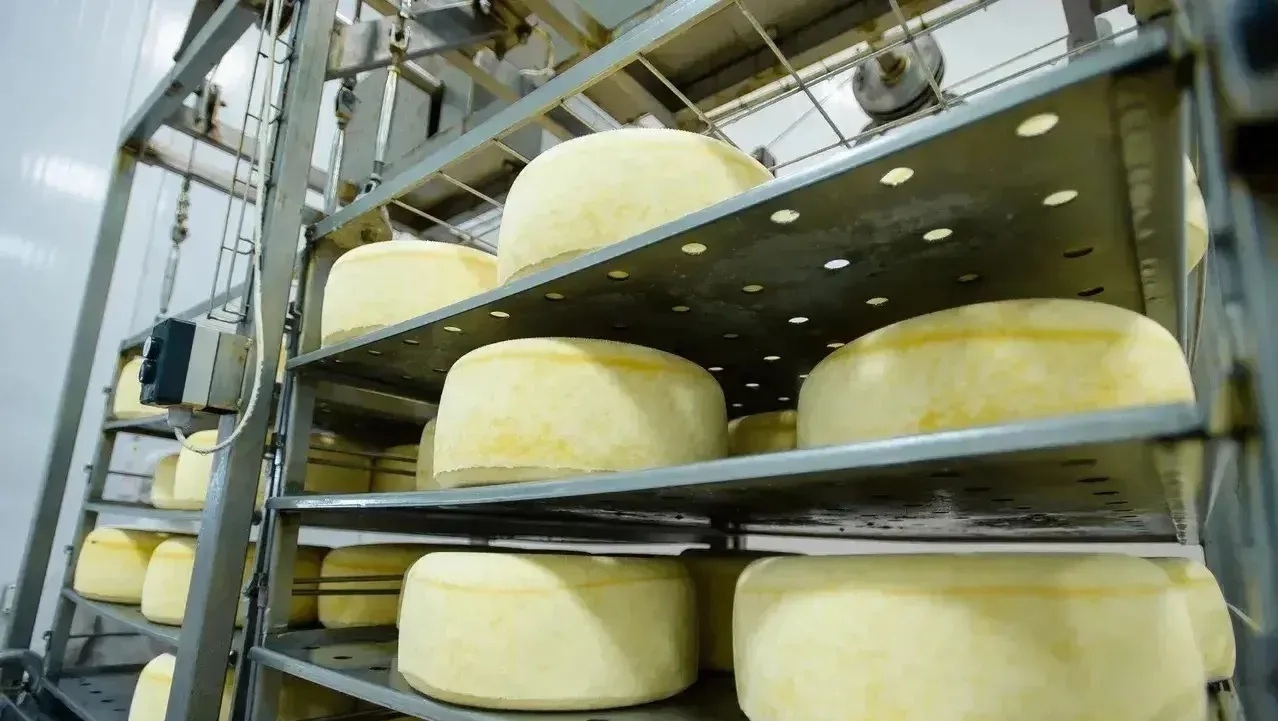 Оренбуржье наращивает поставки сельхозпродукции за рубеж