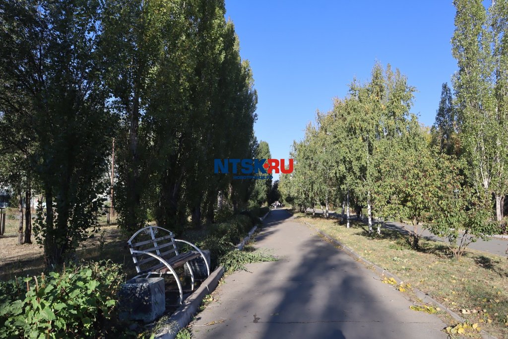 ГБДХ наводит красоту — фото 2