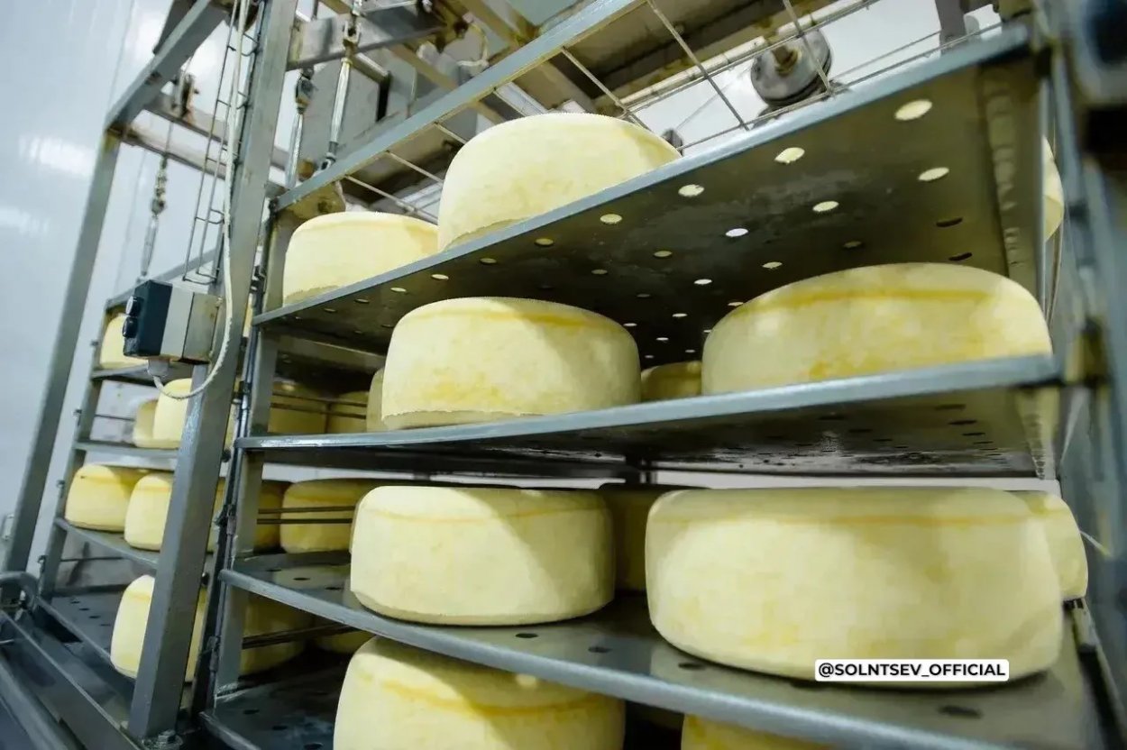 От зерна до мороженого: как Оренбуржье продвигает свою продукцию за рубежом