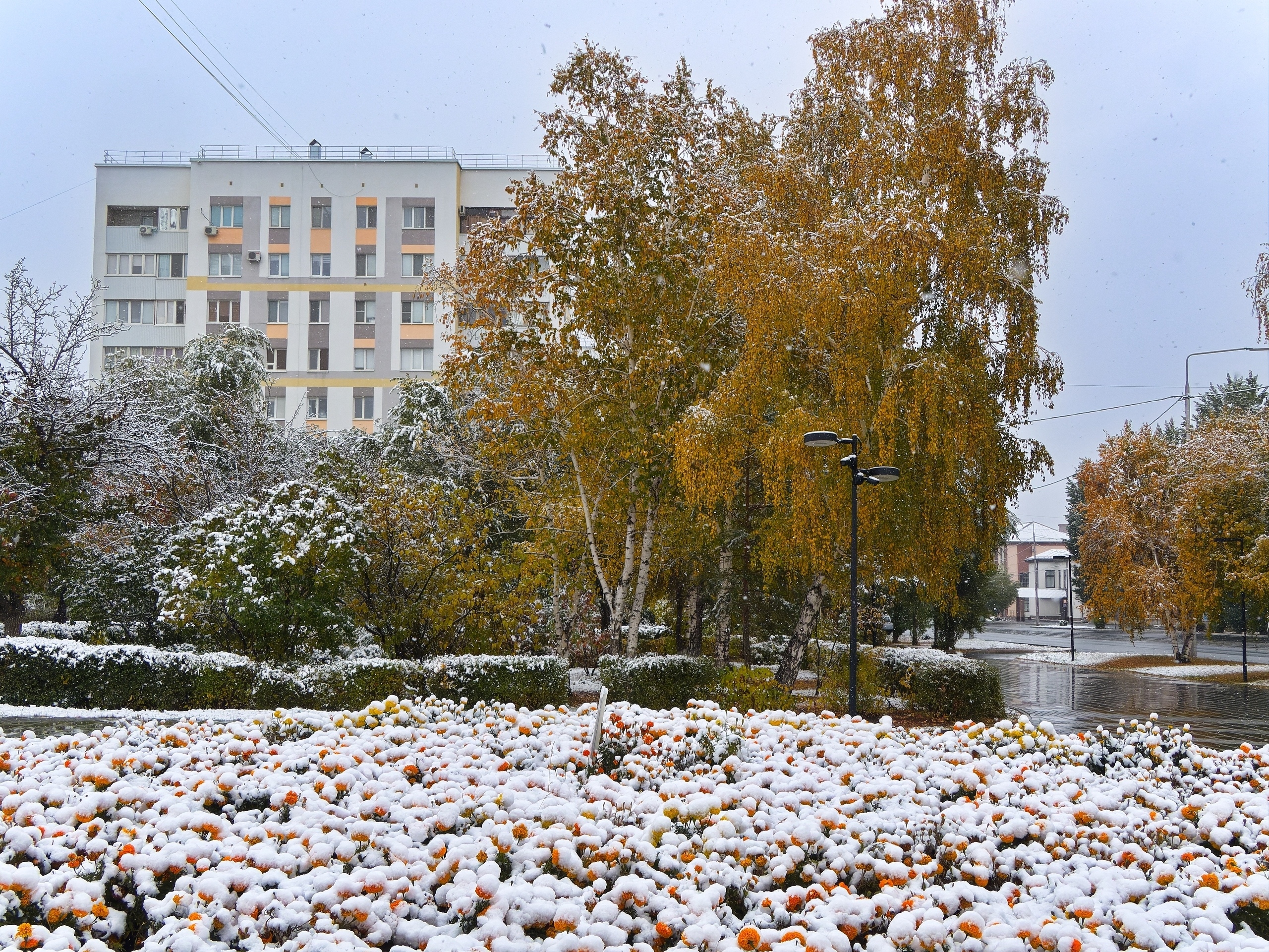 Репетиция зимы. — фото 1