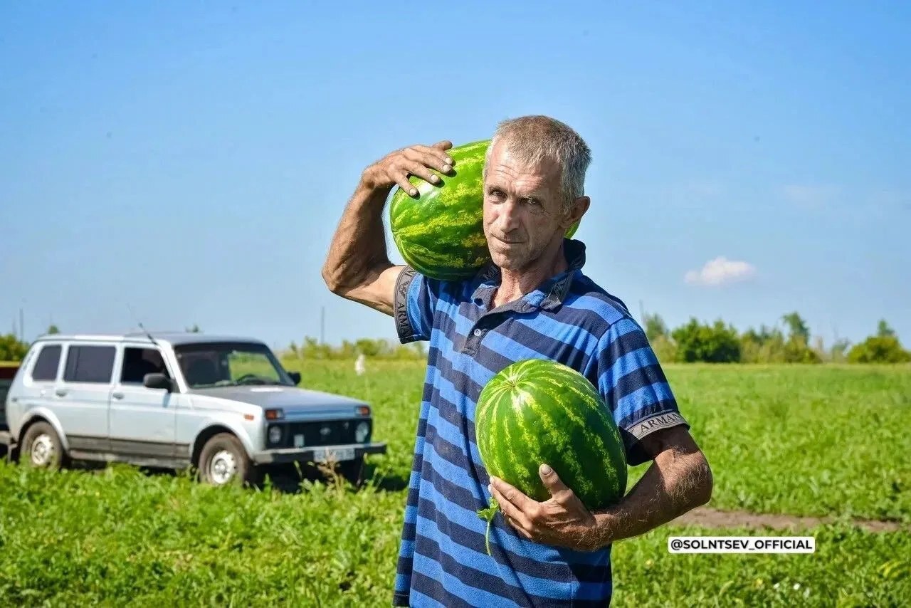 Новый рекорд. Оренбургские аграрии собрали более 4 миллионов тонн зерна — фото 3