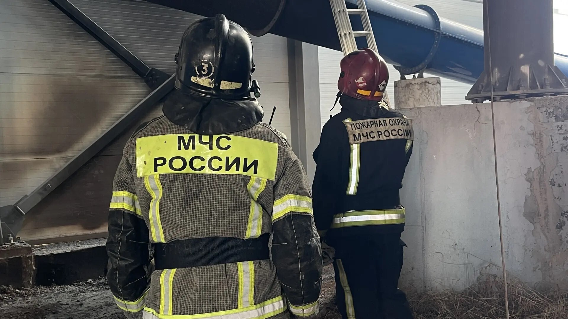 В МЧС обнародовали подробности пожара у аквапарка “Лимпопо” — фото 2
