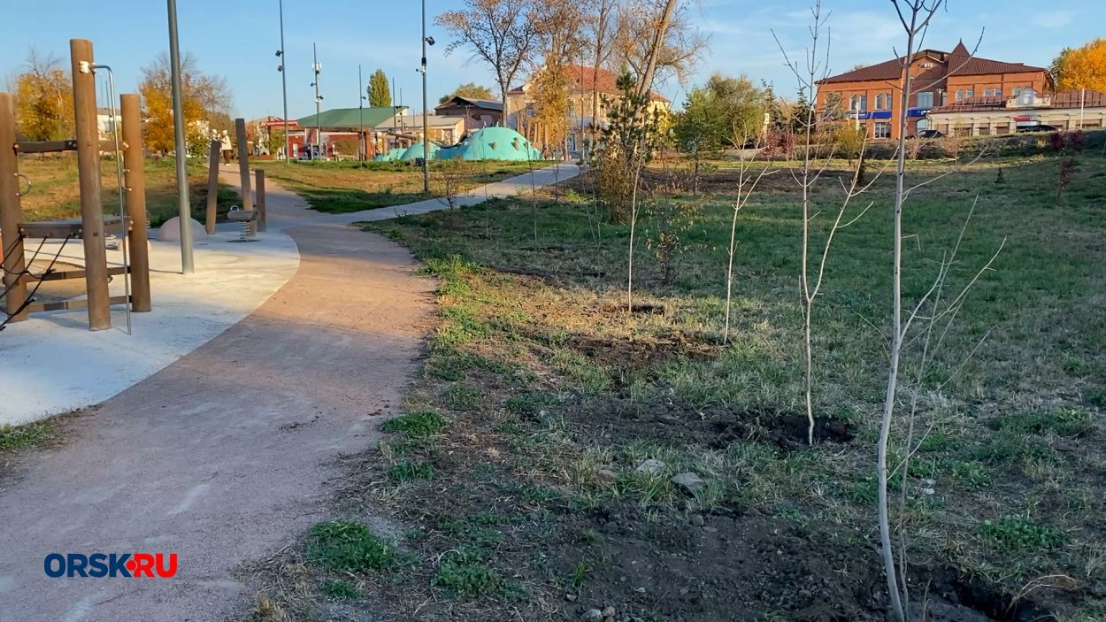 В саду Шевченко в Орске высадили 30 саженцев ясеня и сумаха — фото 8