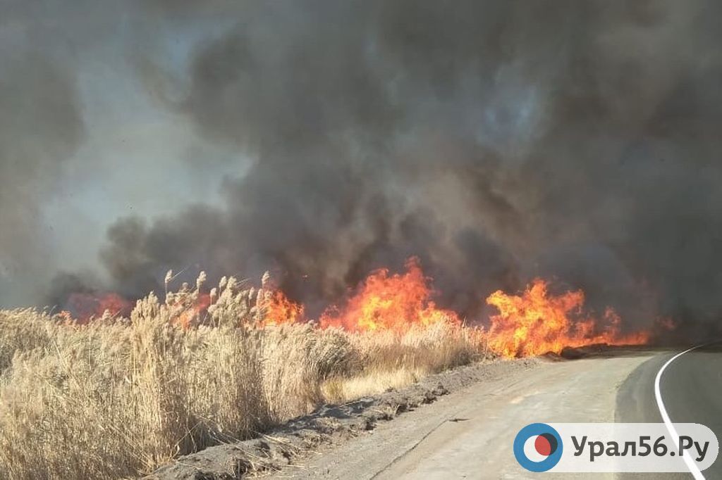 С 14 по 20 октября в Оренбургской области ожидается 4 класс пожарной опасности
