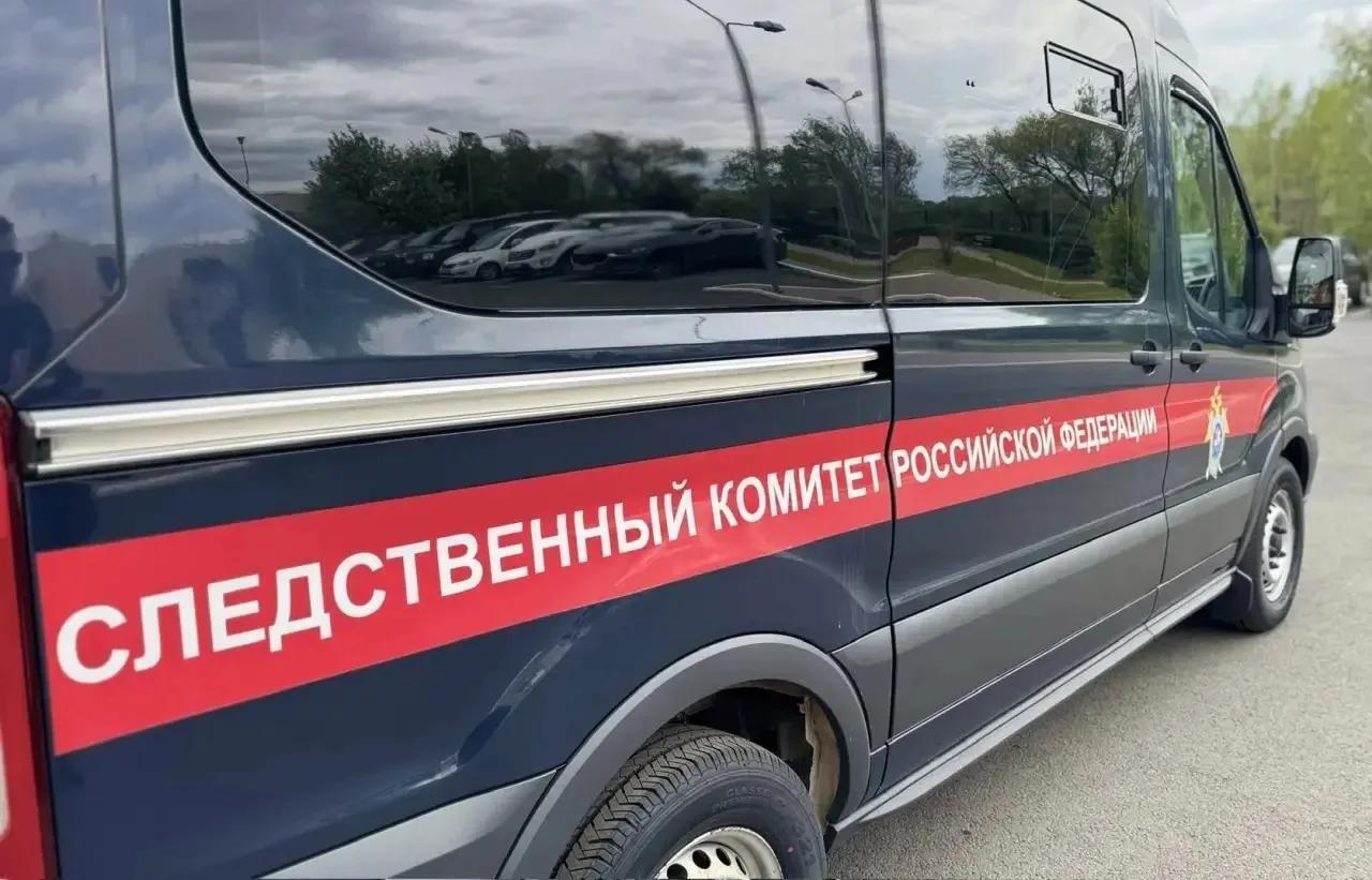 Шок: в Грачевском районе мать жестоко избила своего малолетнего ребенка
