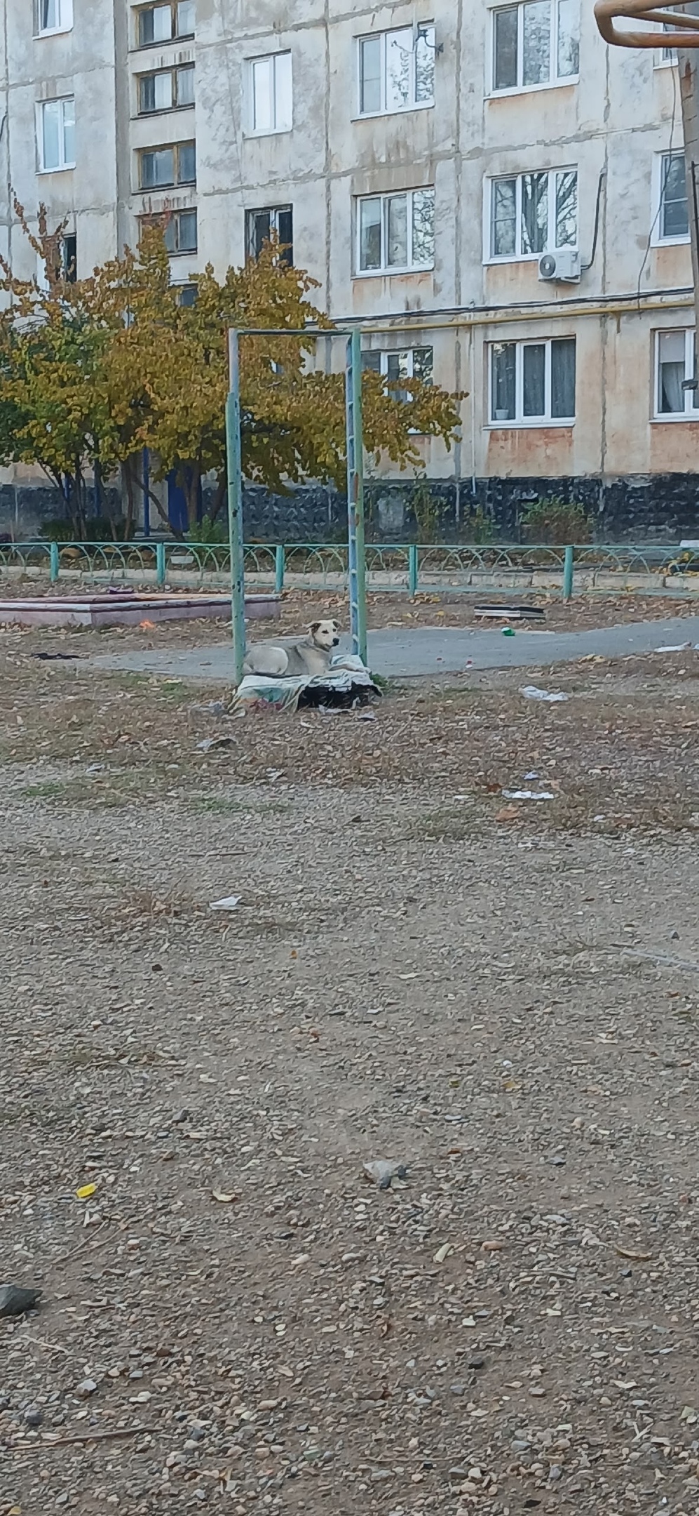 Площадка "Строго режима " — фото 6