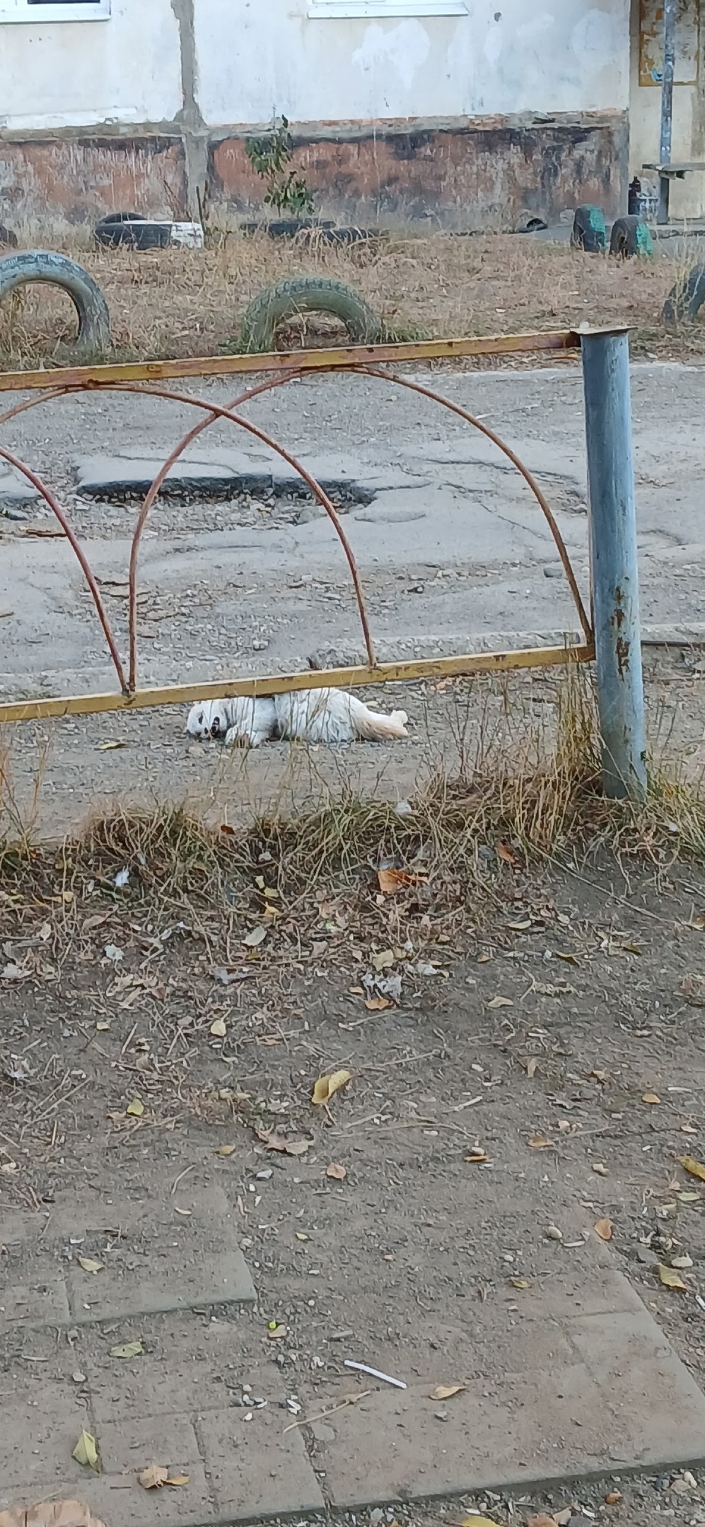 Площадка "Строго режима " — фото 7