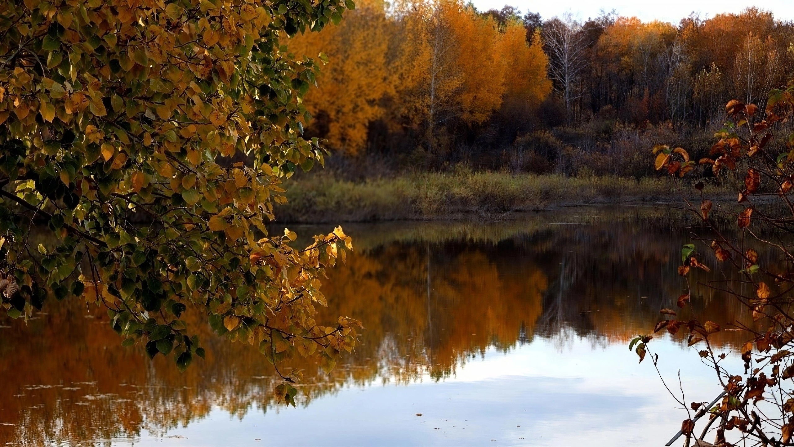 Октябрьские зарисовки — фото 3