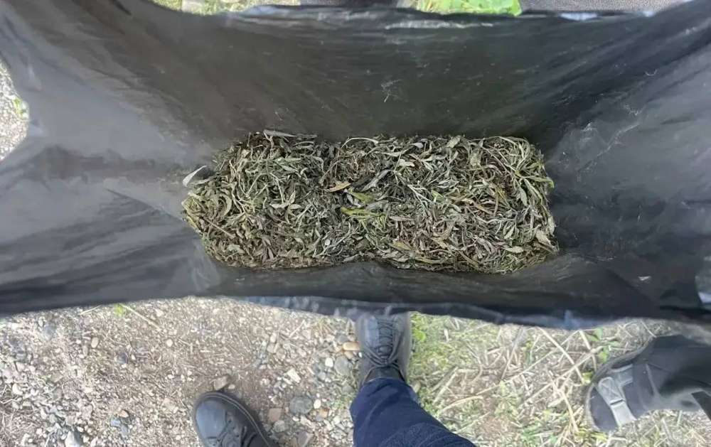 Оренбургские полицейские задержали мужчину с пакетом марихуаны