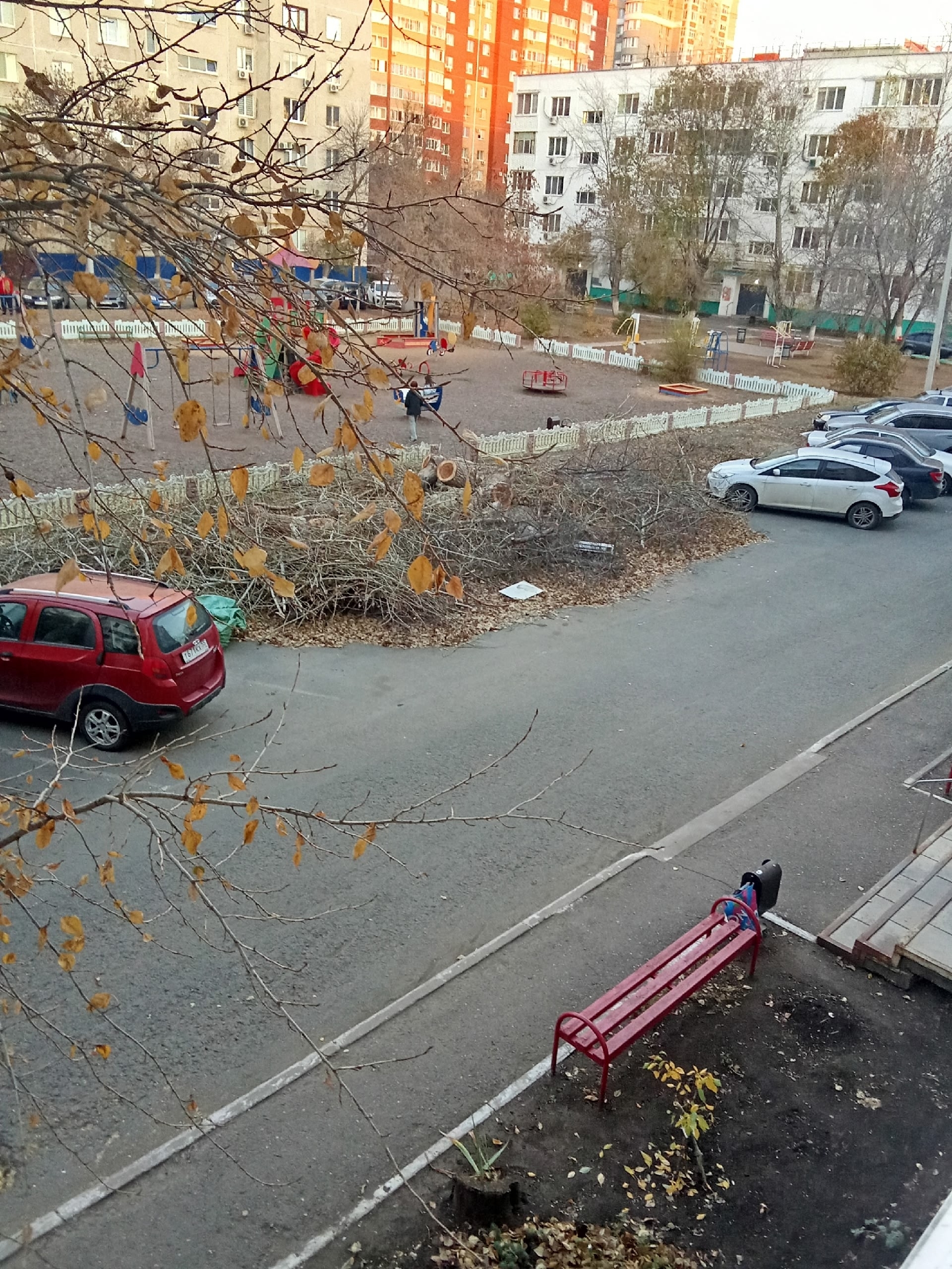 Спилили деревья и уже 7-10дней не убирают