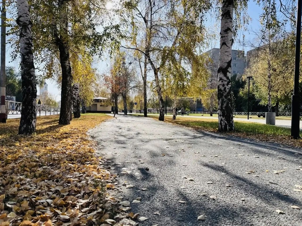 🍁 Осень в Бузулуке — фото 10