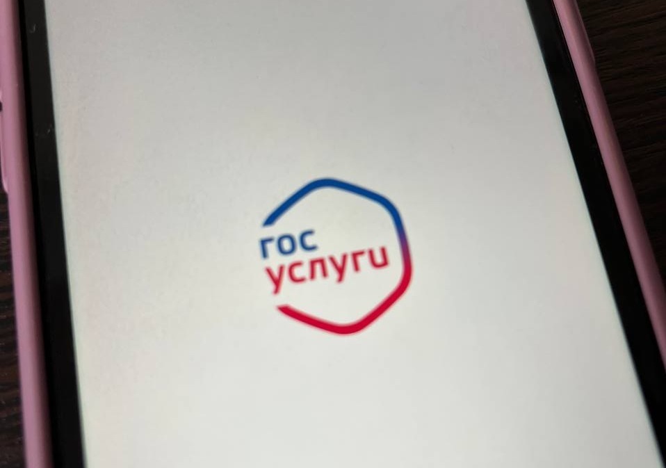 В Оренбуржье региональный маткапитал можно получить через «Госуслуги»