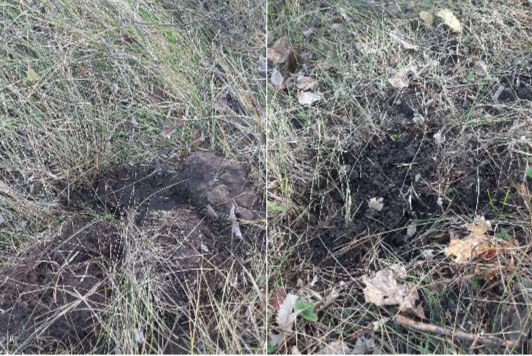 В национальном парке «Бузулукский бор» случилась нелепая и обидная история