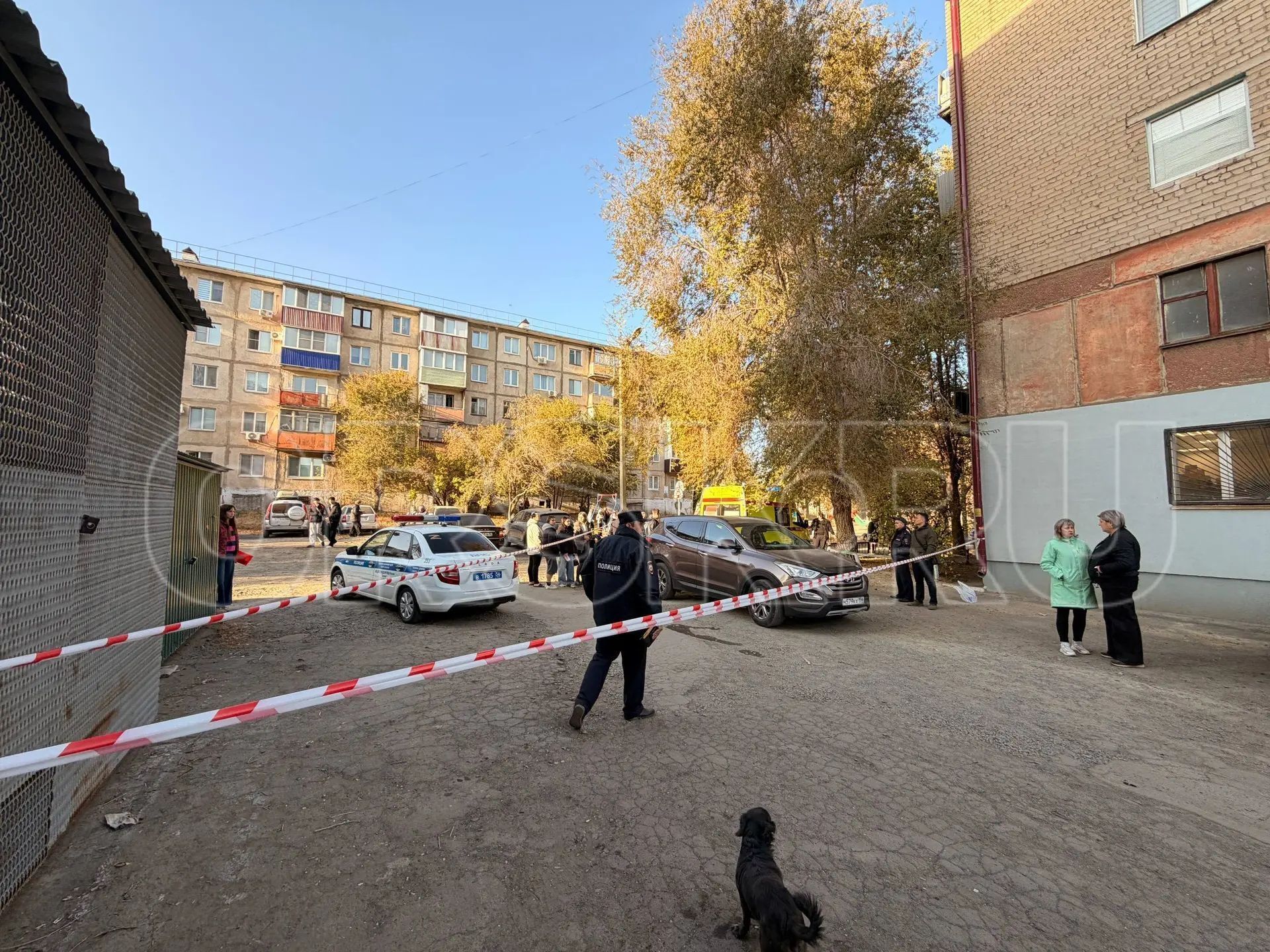 😱 Убийство на Краматорской: в Орске погибла женщина — фото 2
