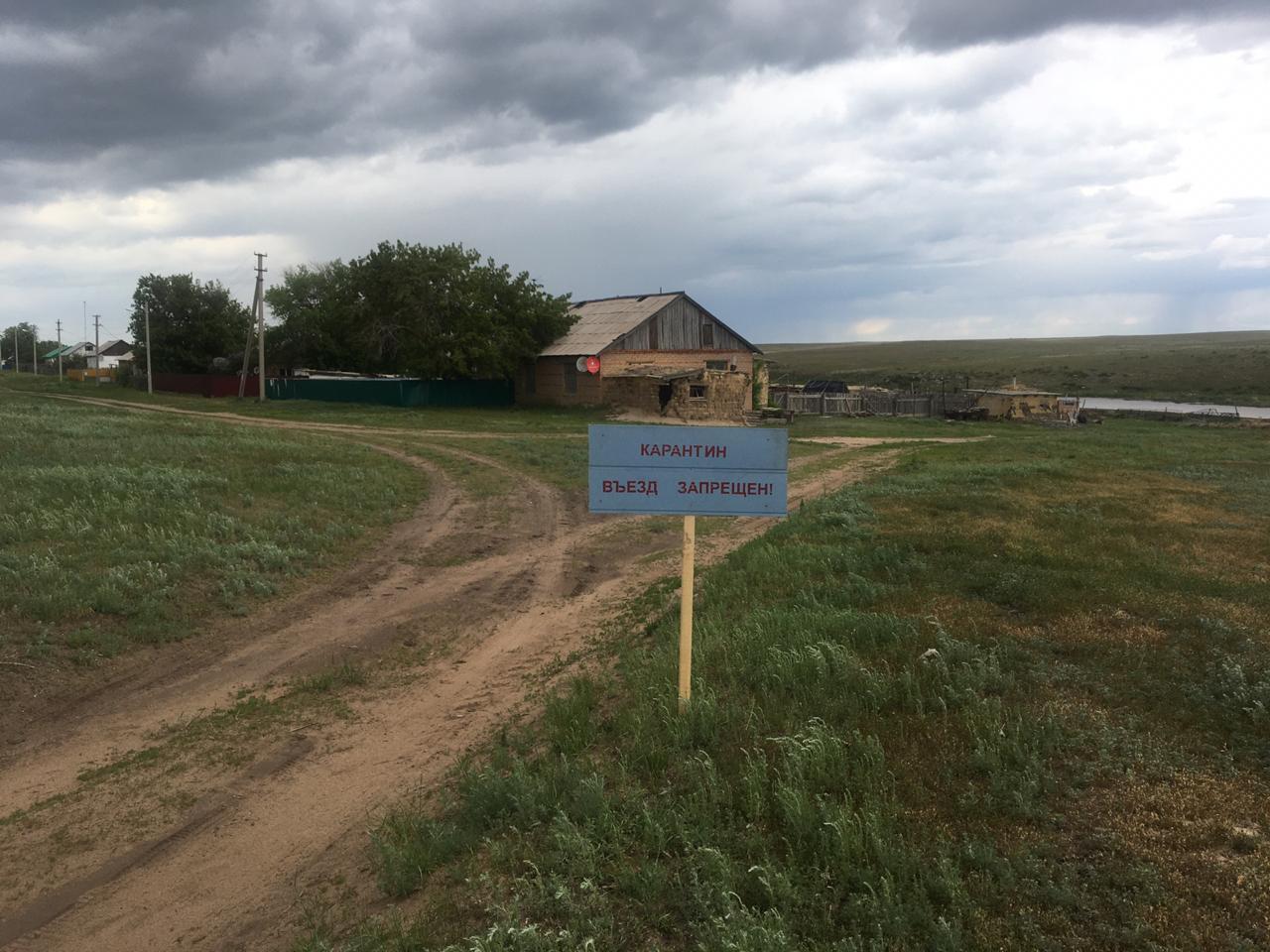Под Оренбургом ввели карантин по бешенству